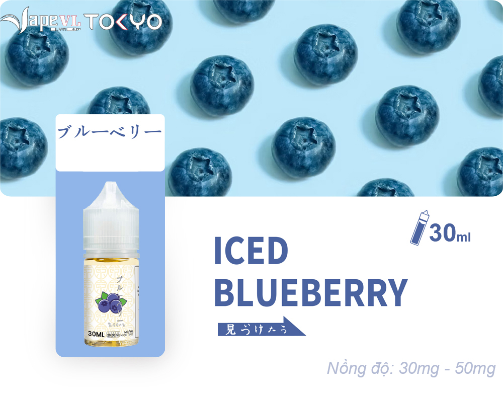 ICE BLUEBERRY - Việt quất lạnh